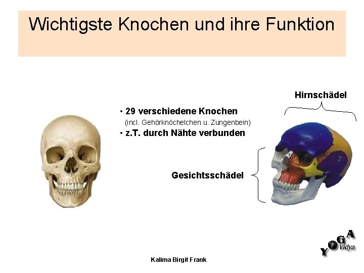 Wichtigste Knochen und ihre Funktion Hirnschädel • 29 verschiedene Knochen (incl. Gehörknöchelchen u. Zungenbein) Wichtigste Knochen und ihre Funktion Hirnschädel • 29 verschiedene Knochen (incl. Gehörknöchelchen u. Zungenbein)
