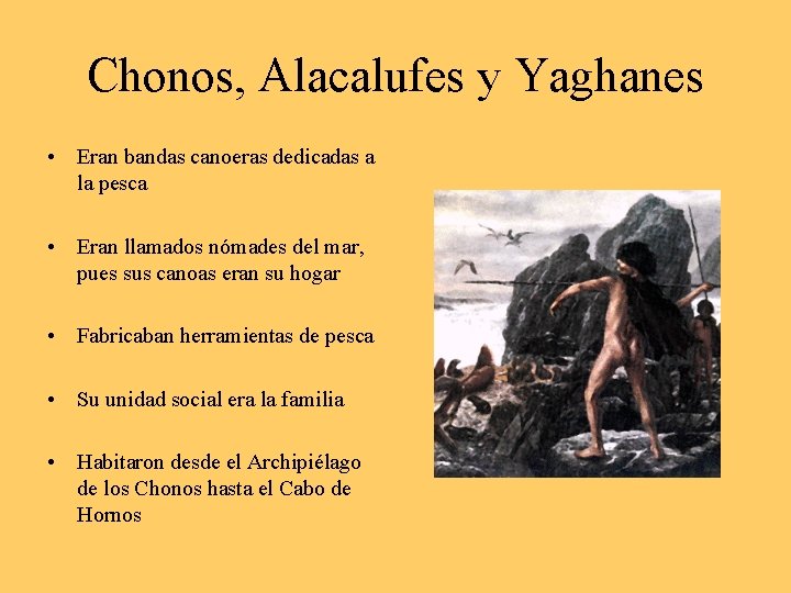 Chonos, Alacalufes y Yaghanes • Eran bandas canoeras dedicadas a la pesca • Eran