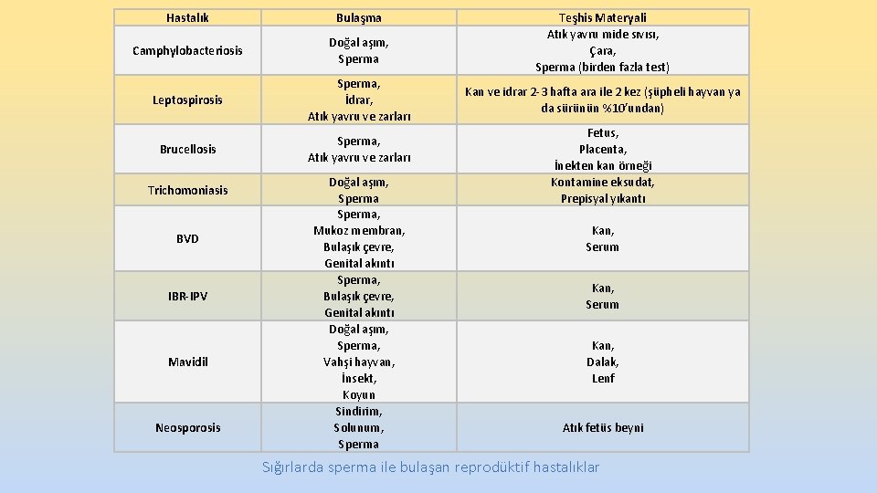 Hastalık Bulaşma Camphylobacteriosis Doğal aşım, Sperma Leptospirosis Sperma, İdrar, Atık yavru ve zarları Brucellosis Hastalık Bulaşma Camphylobacteriosis Doğal aşım, Sperma Leptospirosis Sperma, İdrar, Atık yavru ve zarları Brucellosis