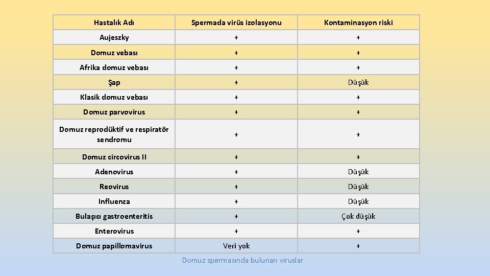 Hastalık Adı Spermada virüs izolasyonu Kontaminasyon riski Aujeszky + + Domuz vebası + + Hastalık Adı Spermada virüs izolasyonu Kontaminasyon riski Aujeszky + + Domuz vebası + +