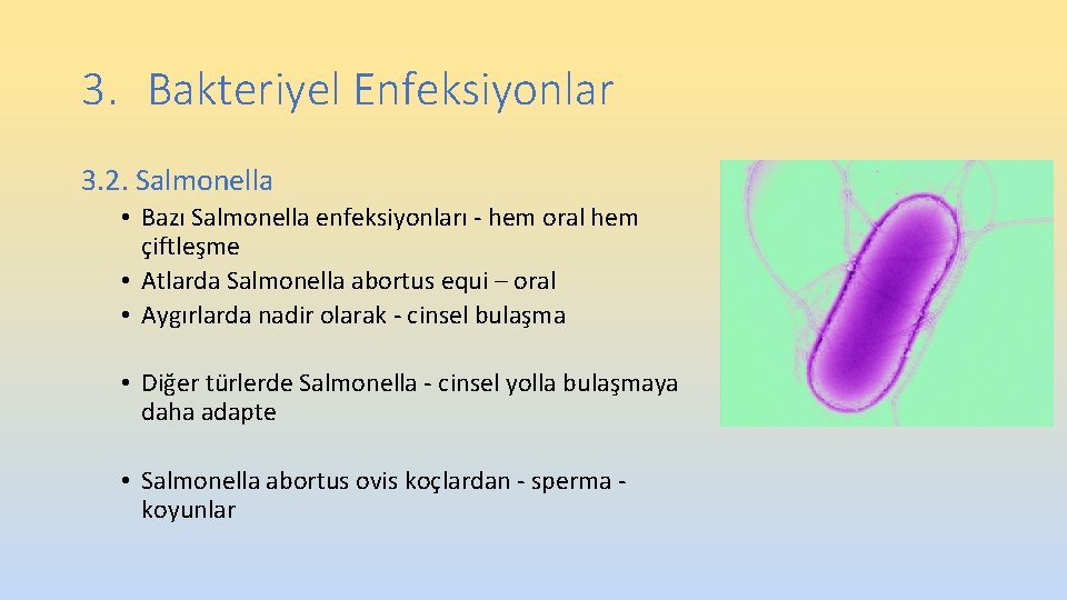 3. Bakteriyel Enfeksiyonlar 3. 2. Salmonella • Bazı Salmonella enfeksiyonları - hem oral hem 3. Bakteriyel Enfeksiyonlar 3. 2. Salmonella • Bazı Salmonella enfeksiyonları - hem oral hem