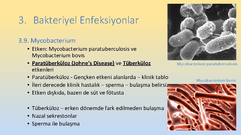 3. Bakteriyel Enfeksiyonlar 3. 9. Mycobacterium • Etken: Mycobacterium paratuberculosis ve Mycobacterium bovis • 3. Bakteriyel Enfeksiyonlar 3. 9. Mycobacterium • Etken: Mycobacterium paratuberculosis ve Mycobacterium bovis •