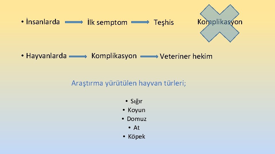• İnsanlarda • Hayvanlarda İlk semptom Komplikasyon Teşhis Veteriner hekim Araştırma yürütülen hayvan • İnsanlarda • Hayvanlarda İlk semptom Komplikasyon Teşhis Veteriner hekim Araştırma yürütülen hayvan