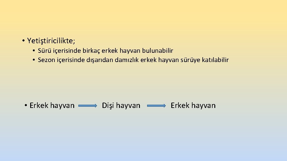 • Yetiştiricilikte; • Sürü içerisinde birkaç erkek hayvan bulunabilir • Sezon içerisinde dışarıdan • Yetiştiricilikte; • Sürü içerisinde birkaç erkek hayvan bulunabilir • Sezon içerisinde dışarıdan