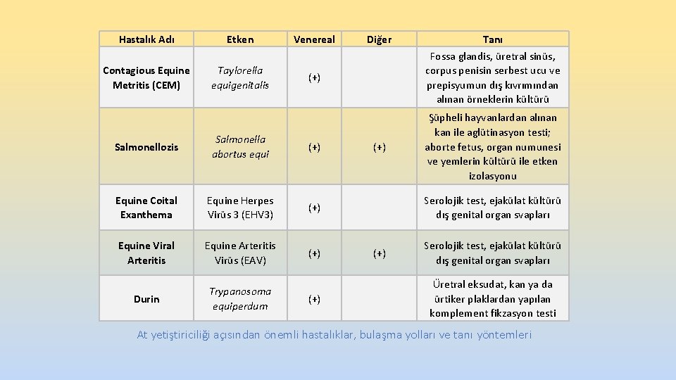 Hastalık Adı Etken Venereal Contagious Equine Metritis (CEM) Taylorella equigenitalis (+) Salmonellozis Salmonella abortus Hastalık Adı Etken Venereal Contagious Equine Metritis (CEM) Taylorella equigenitalis (+) Salmonellozis Salmonella abortus
