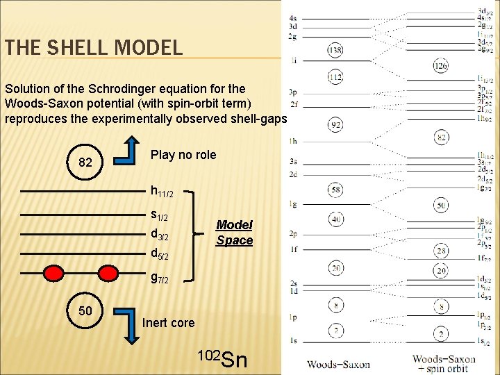 THE SHELL MODEL Solution of the Schrodinger equation for the Woods-Saxon potential (with spin-orbit THE SHELL MODEL Solution of the Schrodinger equation for the Woods-Saxon potential (with spin-orbit