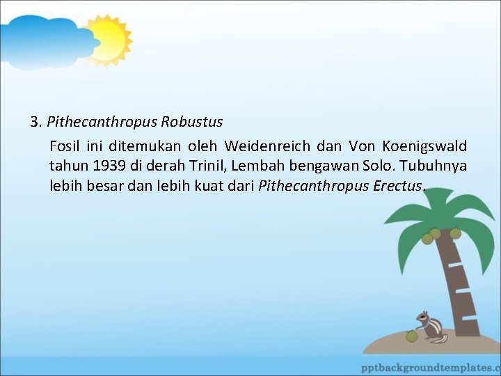 3. Pithecanthropus Robustus Fosil ini ditemukan oleh Weidenreich dan Von Koenigswald tahun 1939 di