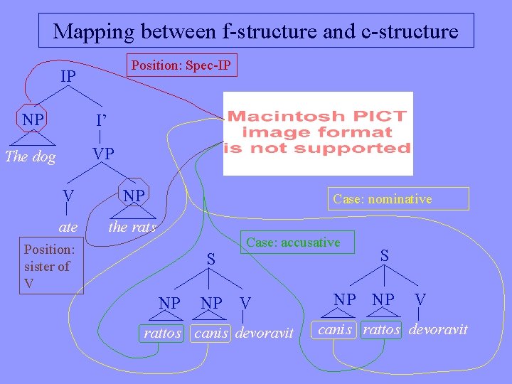 Mapping between f-structure and c-structure Position: Spec-IP IP NP I’ The dog VP V