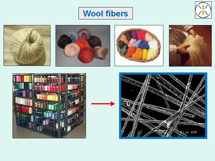 Wool fibers 