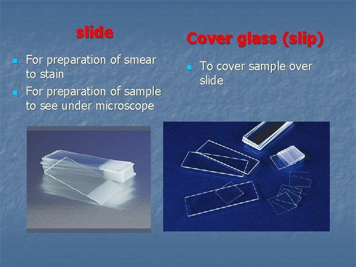 slide n n For preparation of smear to stain For preparation of sample to