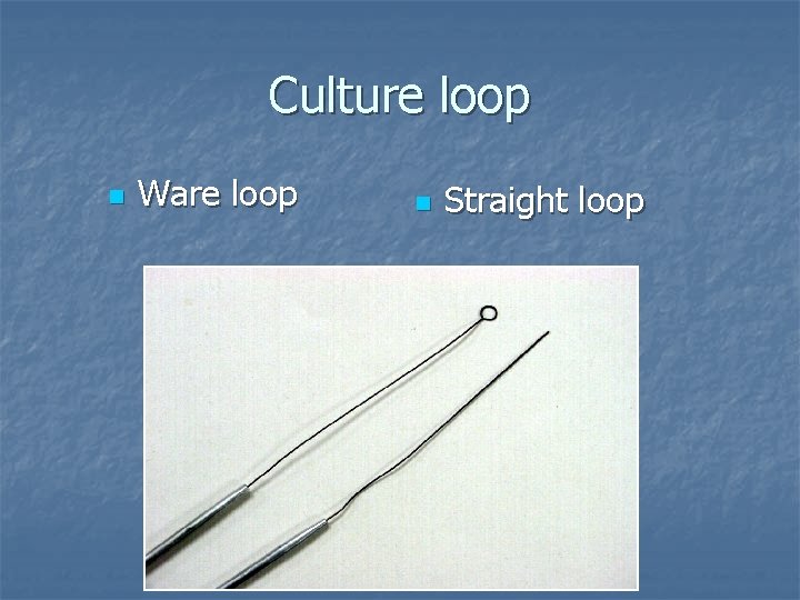 Culture loop n Ware loop n Straight loop 