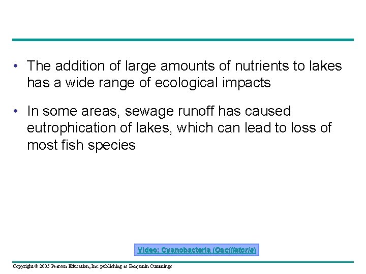  • The addition of large amounts of nutrients to lakes has a wide