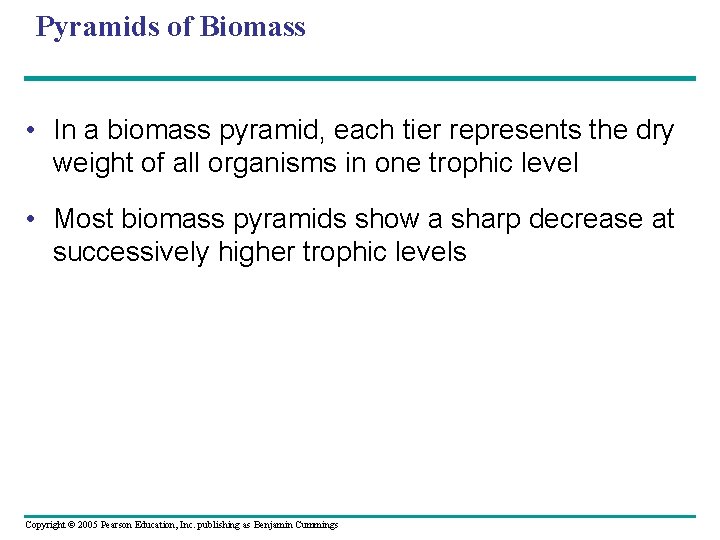 Pyramids of Biomass • In a biomass pyramid, each tier represents the dry weight