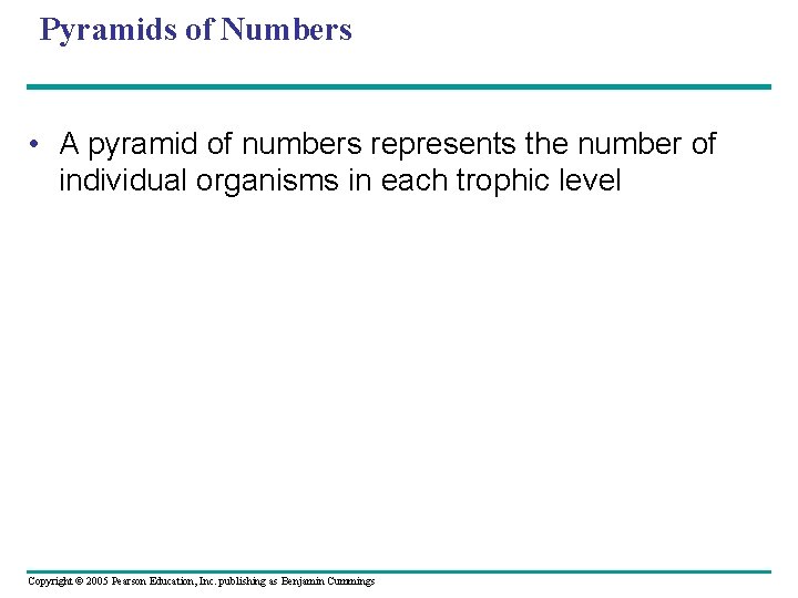 Pyramids of Numbers • A pyramid of numbers represents the number of individual organisms
