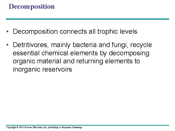 Decomposition • Decomposition connects all trophic levels • Detritivores, mainly bacteria and fungi, recycle