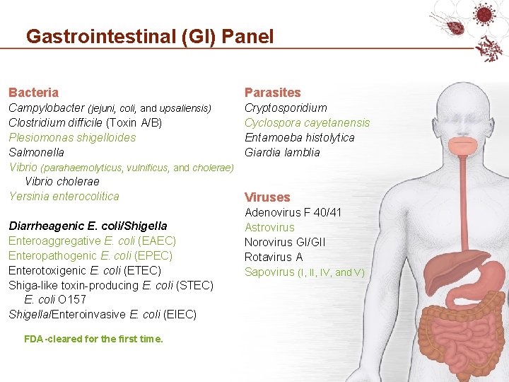 Gastrointestinal (GI) Panel Bacteria Parasites Campylobacter (jejuni, coli, and upsaliensis) Clostridium difficile (Toxin A/B)