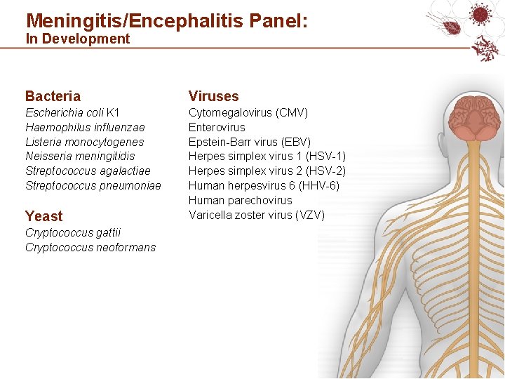 Meningitis/Encephalitis Panel: In Development Bacteria Viruses Escherichia coli K 1 Haemophilus influenzae Listeria monocytogenes