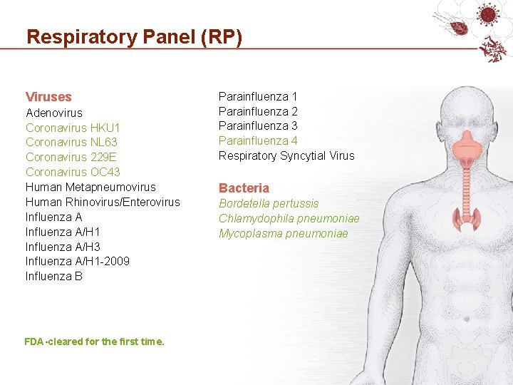 Respiratory Panel (RP) Viruses Adenovirus Coronavirus HKU 1 Coronavirus NL 63 Coronavirus 229 E