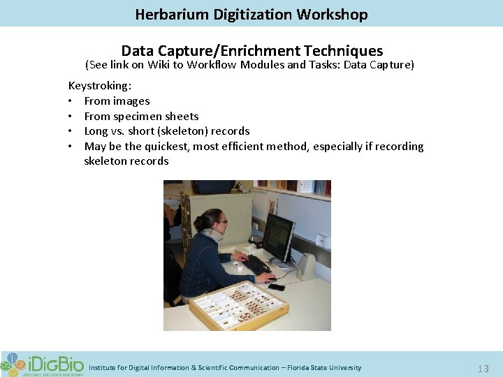 Digitizing Biological Collections Herbarium Digitization Workshop Data Capture/Enrichment Techniques (See link on Wiki to