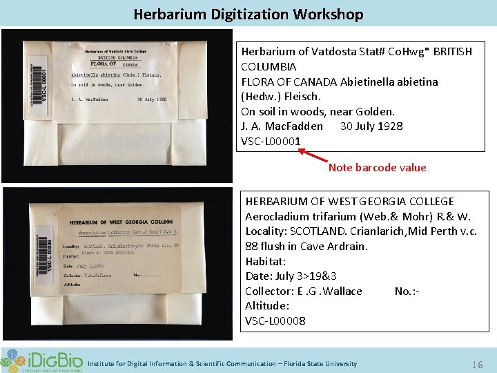 Digitizing Biological Collections Herbarium Digitization Workshop Herbarium of Vatdosta Stat# Co. Hwg* BRITISH COLUMBIA