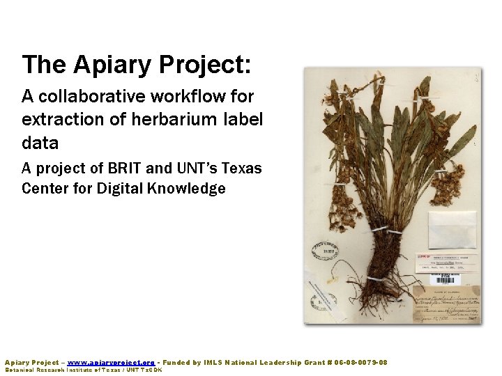 The Apiary Project: A collaborative workflow for extraction of herbarium label data A project