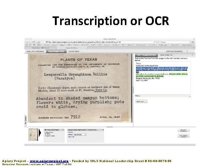 Transcription or OCR Apiary Project – www. apiaryproject. org - Funded by IMLS National