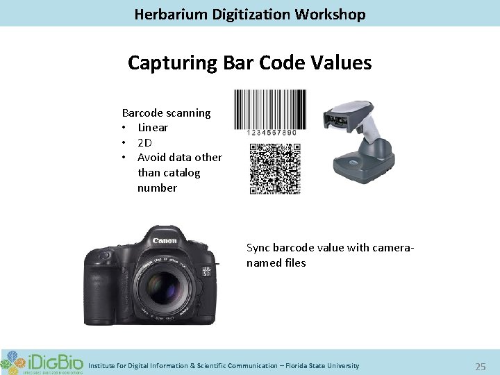 Digitizing Biological Collections Herbarium Digitization Workshop Capturing Bar Code Values Barcode scanning • Linear