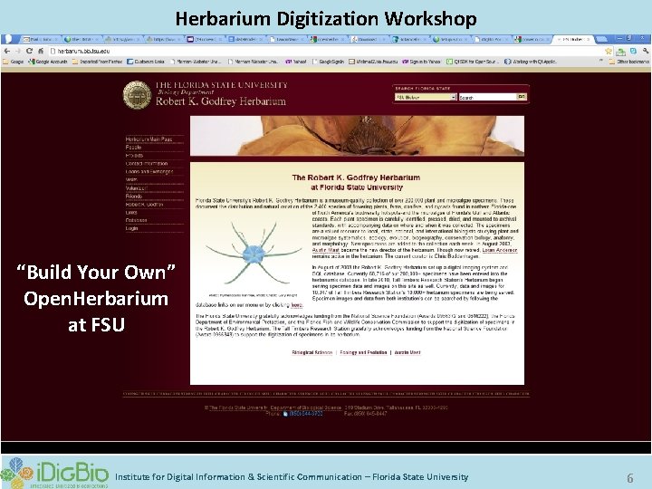 Digitizing Biological Collections Herbarium Digitization Workshop “Build Your Own” Open. Herbarium at FSU Institute
