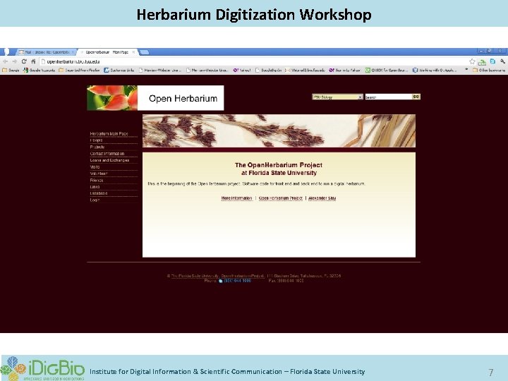 Digitizing Biological Collections Herbarium Digitization Workshop Institute for Digital Information & Scientific Communication –