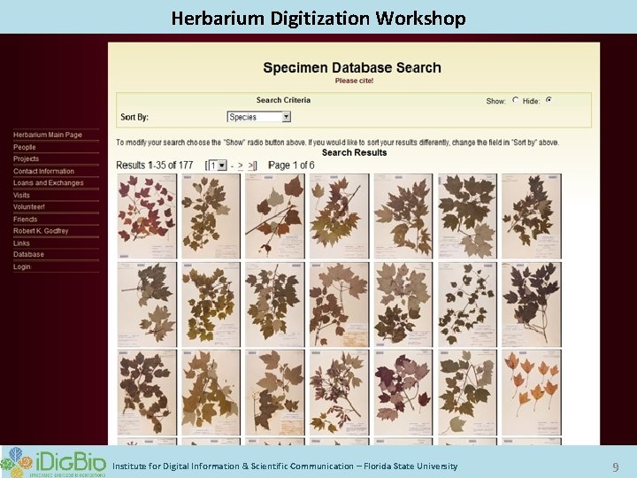 Digitizing Biological Collections Herbarium Digitization Workshop Institute for Digital Information & Scientific Communication –