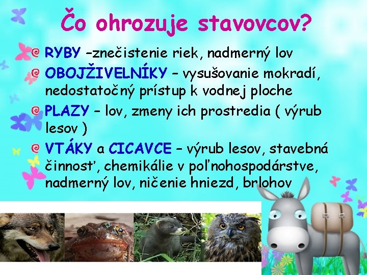 Čo ohrozuje stavovcov? RYBY –znečistenie riek, nadmerný lov OBOJŽIVELNÍKY – vysušovanie mokradí, nedostatočný prístup