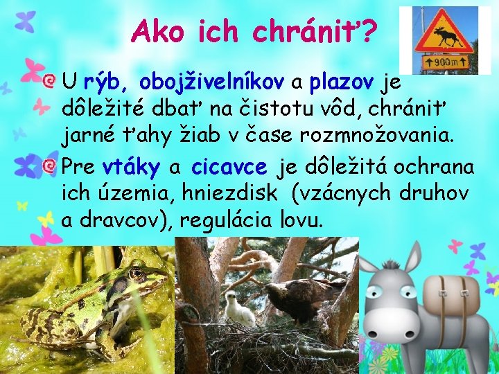 Ako ich chrániť? U rýb, obojživelníkov a plazov je dôležité dbať na čistotu vôd,