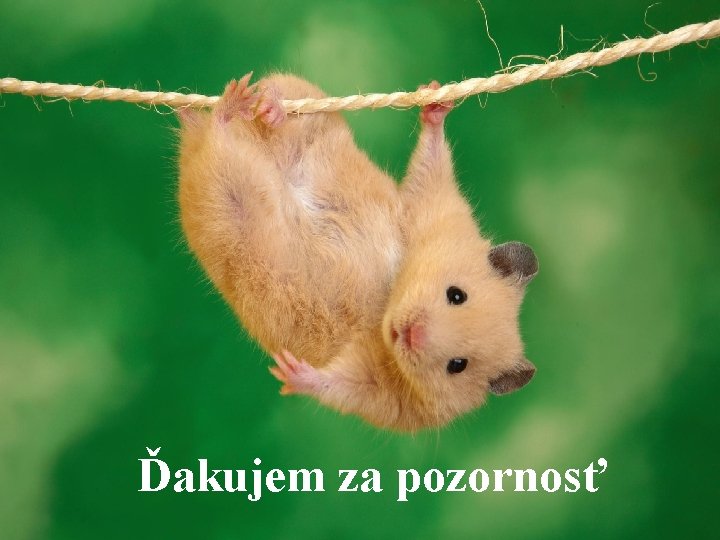 Ďakujem za pozornosť 