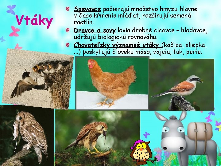 Vtáky Spevavce požierajú množstvo hmyzu hlavne v čase kŕmenia mláďat, rozširujú semená rastlín. Dravce Vtáky Spevavce požierajú množstvo hmyzu hlavne v čase kŕmenia mláďat, rozširujú semená rastlín. Dravce