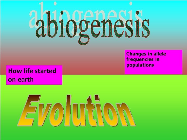 How life started on earth Changes in allele frequencies in populations 