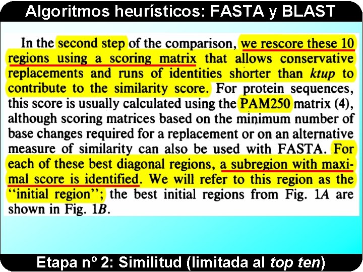 Algoritmos heurísticos: FASTA y BLAST Etapa nº 2: Similitud (limitada al top ten) 