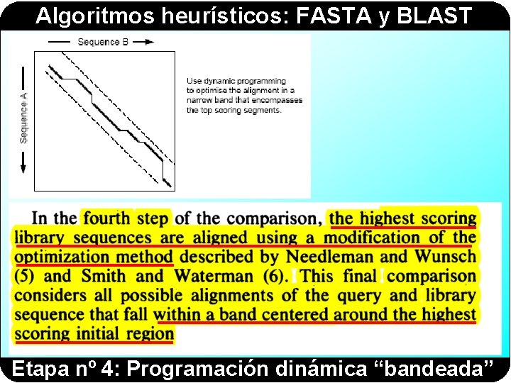 Algoritmos heurísticos: FASTA y BLAST Etapa nº 4: Programación dinámica “bandeada” 