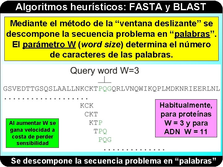 Algoritmos heurísticos: FASTA y BLAST Mediante el método de la “ventana deslizante” se descompone