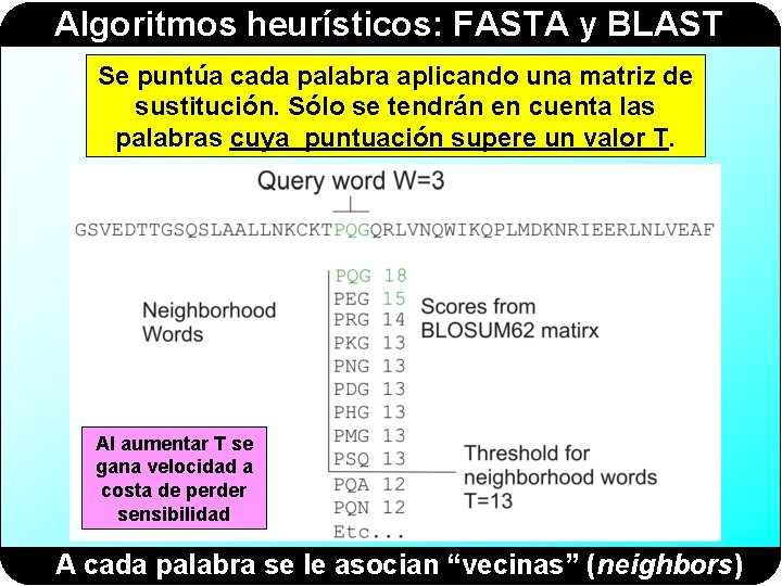 Algoritmos heurísticos: FASTA y BLAST Se puntúa cada palabra aplicando una matriz de sustitución.