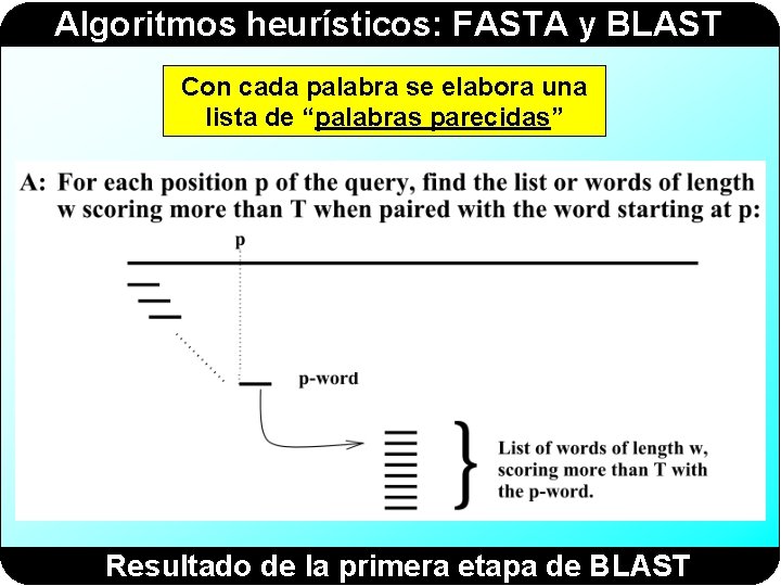 Algoritmos heurísticos: FASTA y BLAST Con cada palabra se elabora una lista de “palabras