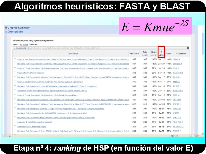 Algoritmos heurísticos: FASTA y BLAST Etapa nº 4: ranking de HSP (en función del