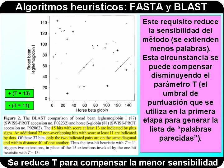 Algoritmos heurísticos: FASTA y BLAST + (T = 13) • (T = 11) Este