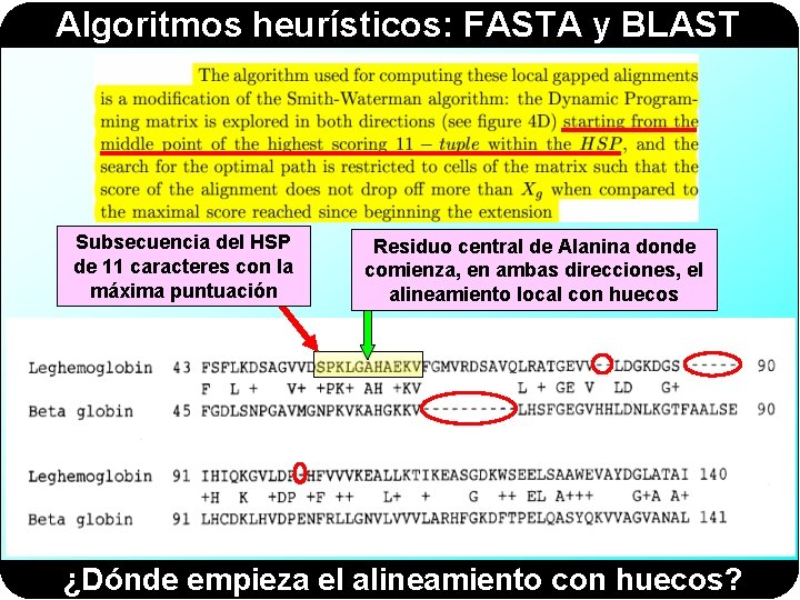 Algoritmos heurísticos: FASTA y BLAST Subsecuencia del HSP de 11 caracteres con la máxima