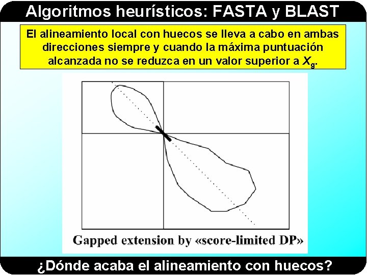 Algoritmos heurísticos: FASTA y BLAST El alineamiento local con huecos se lleva a cabo