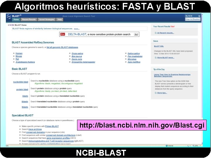 Algoritmos heurísticos: FASTA y BLAST http: //blast. ncbi. nlm. nih. gov/Blast. cgi NCBI-BLAST 