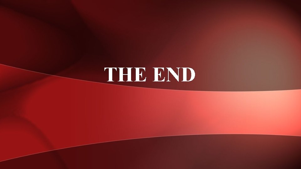 THE END 