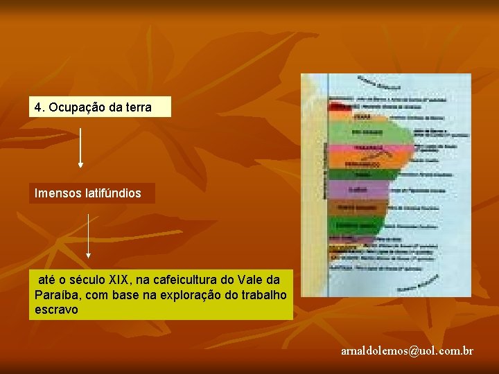 4. Ocupação da terra Imensos latifúndios até o século XIX, na cafeicultura do Vale