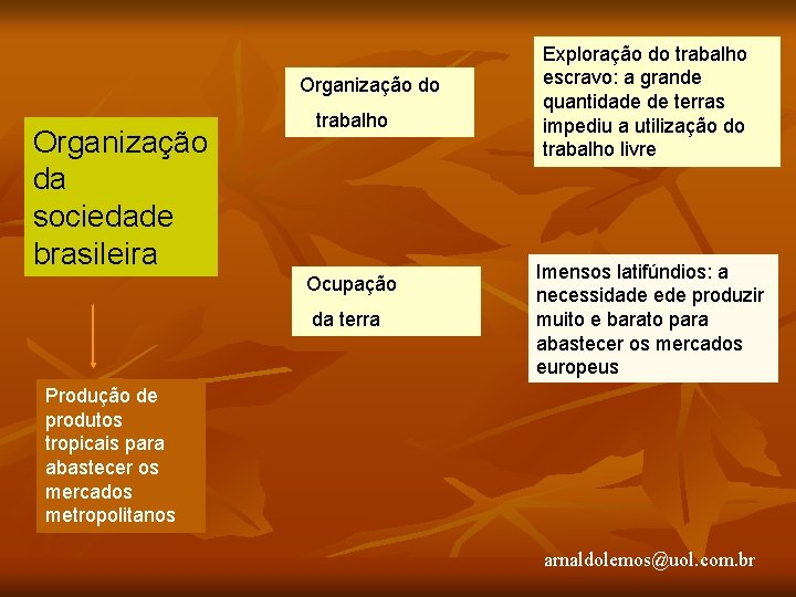 Organização do Organização da sociedade brasileira trabalho Ocupação da terra Exploração do trabalho escravo: