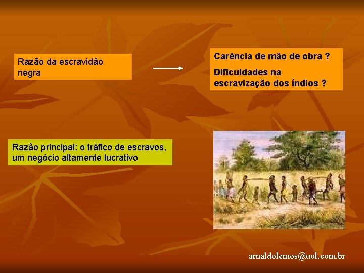 Razão da escravidão negra Carência de mão de obra ? Dificuldades na escravização dos