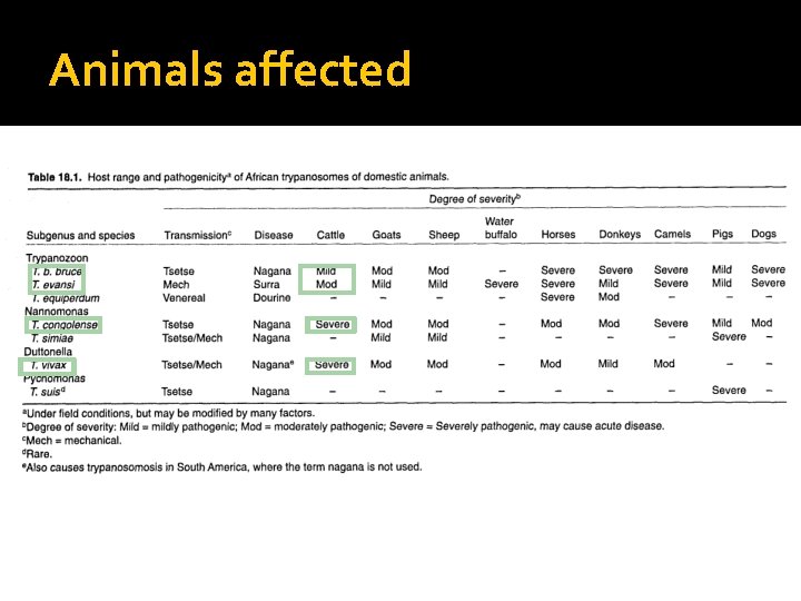 Animals affected 